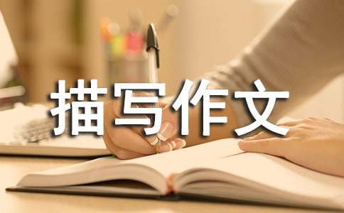 如何制定适合自己的篮球恢复训练计划?_1
